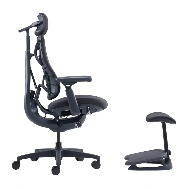 LiberNovo Omni 48 cm Ergonomic Chair (Black)